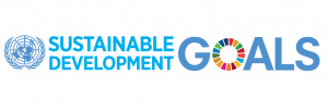 UN Sustainable Development Goals logo