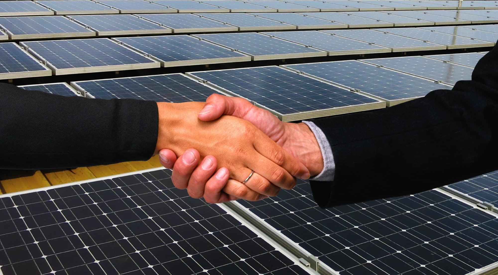 fdsd two people shaking hands and PROINSO solar panels in the background