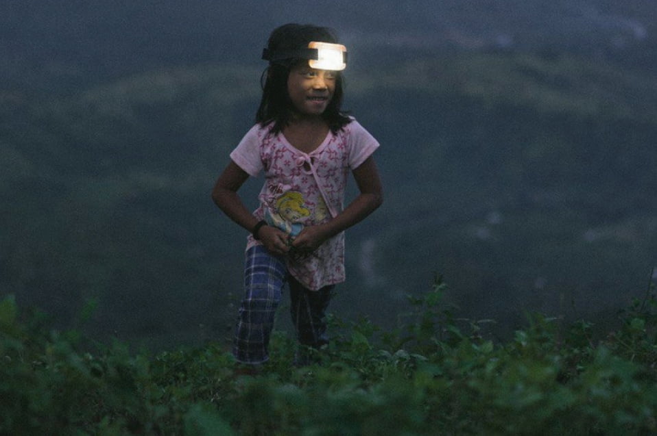 PROINSO-The-Jungle-School-Project