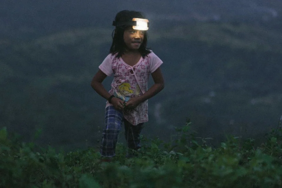 PROINSO-The-Jungle-School-Project